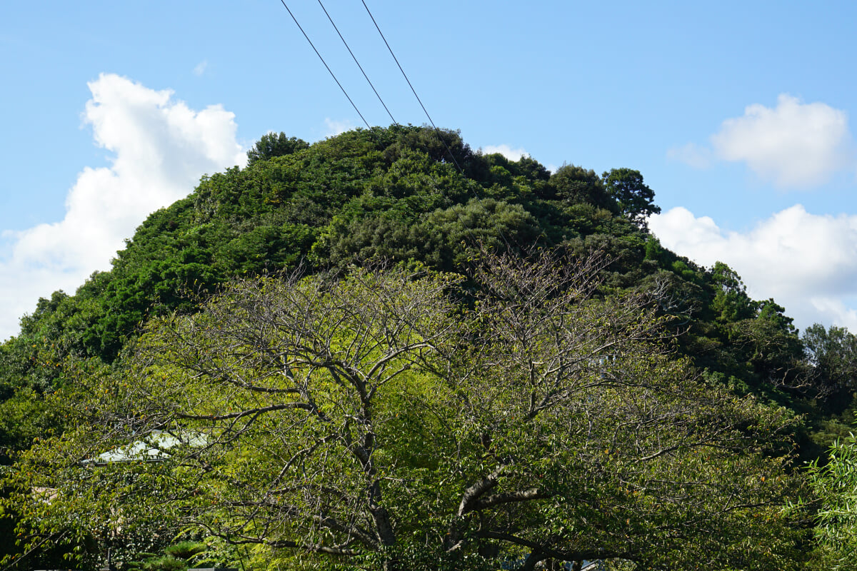 阿須賀神社の写真10
