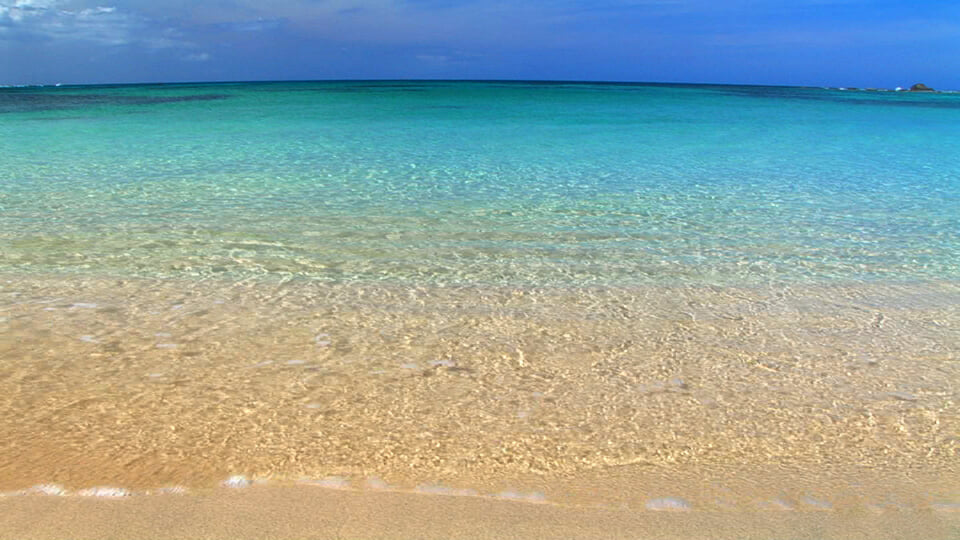 土盛海岸の写真2