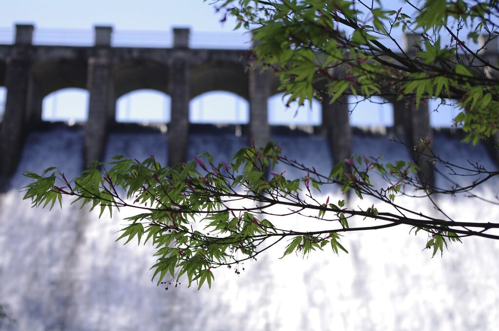 千苅ダムの写真5