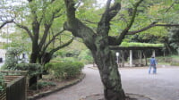 宝来公園