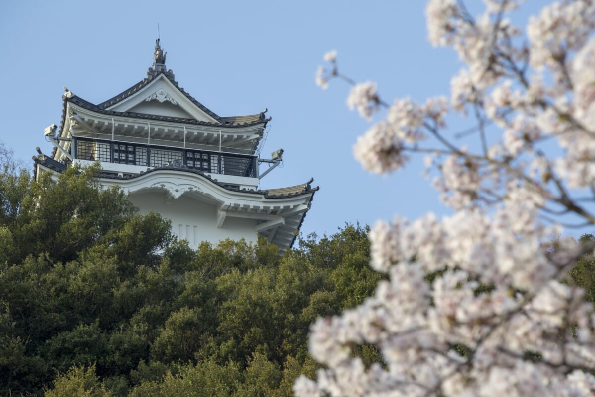 妙見山公園(撫養城跡・岡崎城跡)の写真1