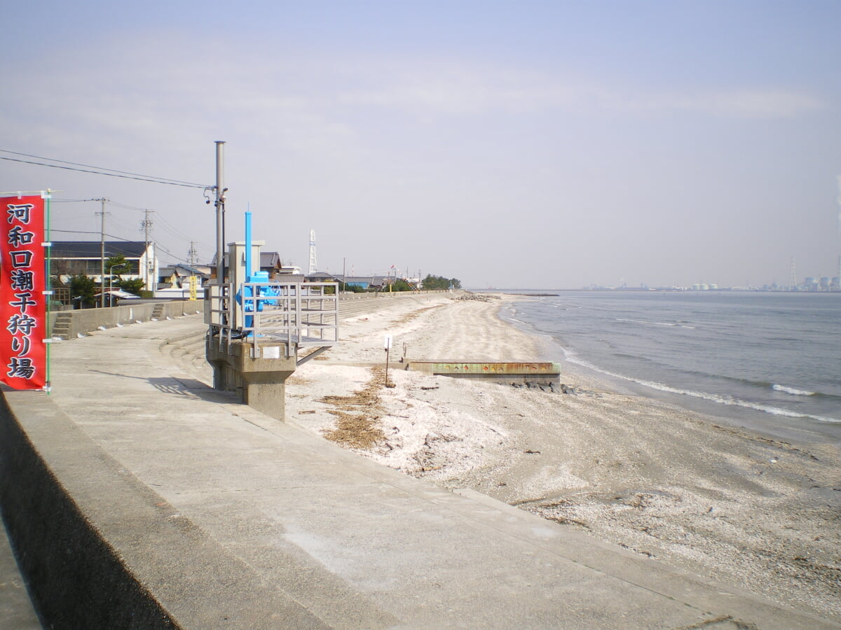 河和口潮干狩り場の写真1