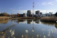 上納池スポーツ公園