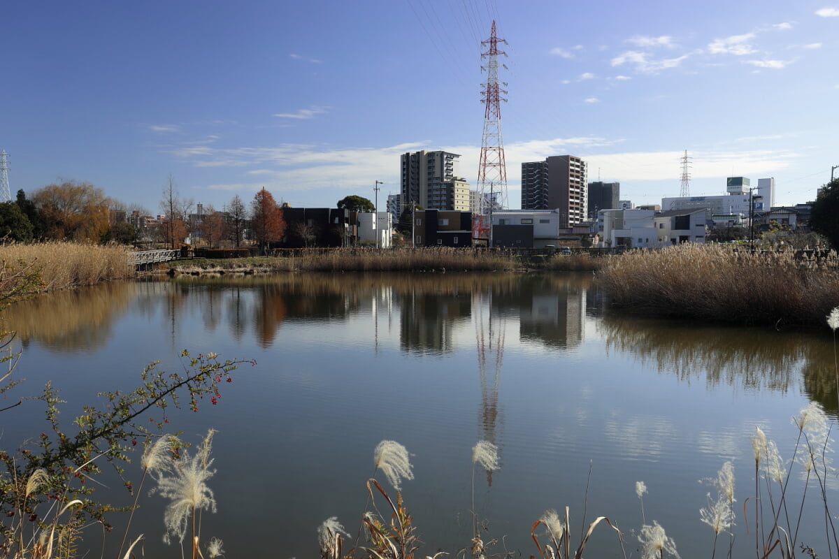 上納池スポーツ公園の写真1