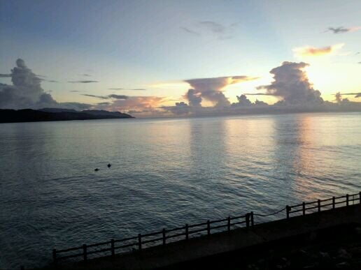 大浜海浜公園の写真3
