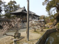 高伝寺