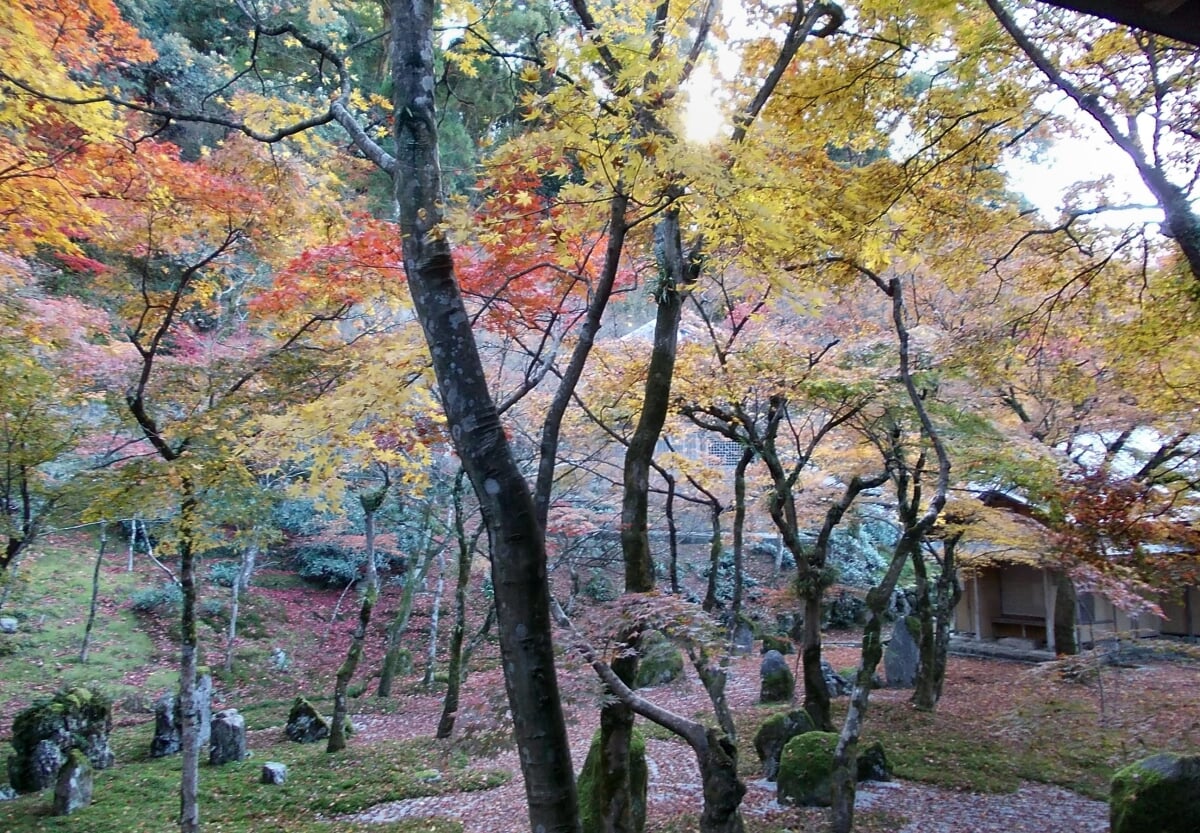 光明禅寺の写真8