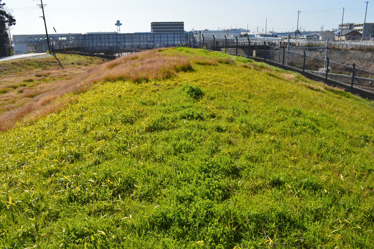松林山古墳の写真4