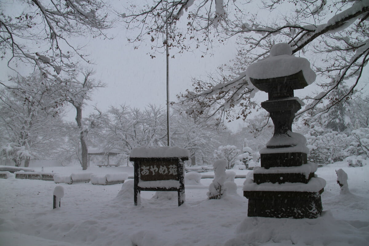 伊佐須美神社の写真10