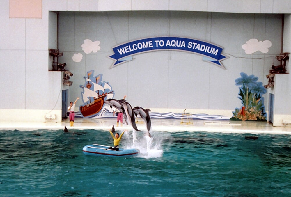 横浜・八景島シーパラダイスの写真2