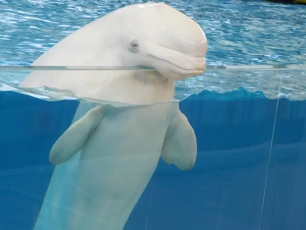 横浜・八景島シーパラダイスの写真1