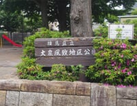 東大泉公園
