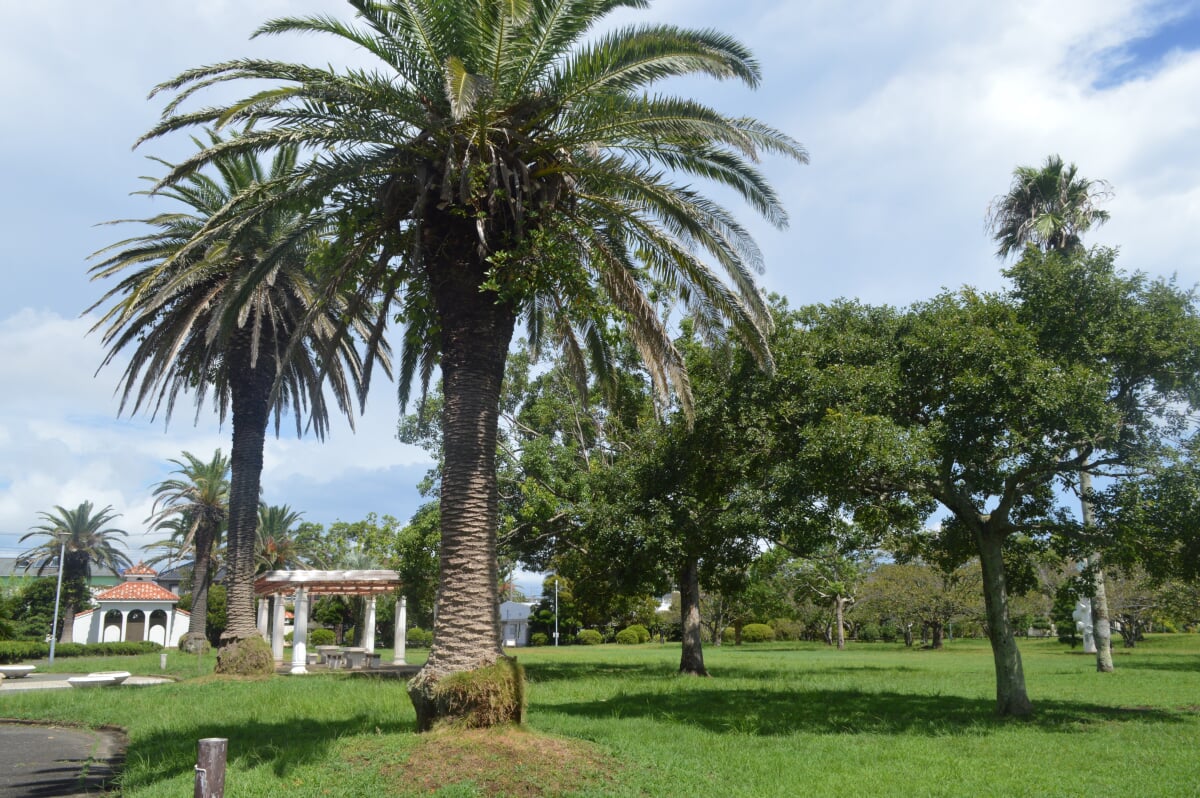 北条中央公園の写真1