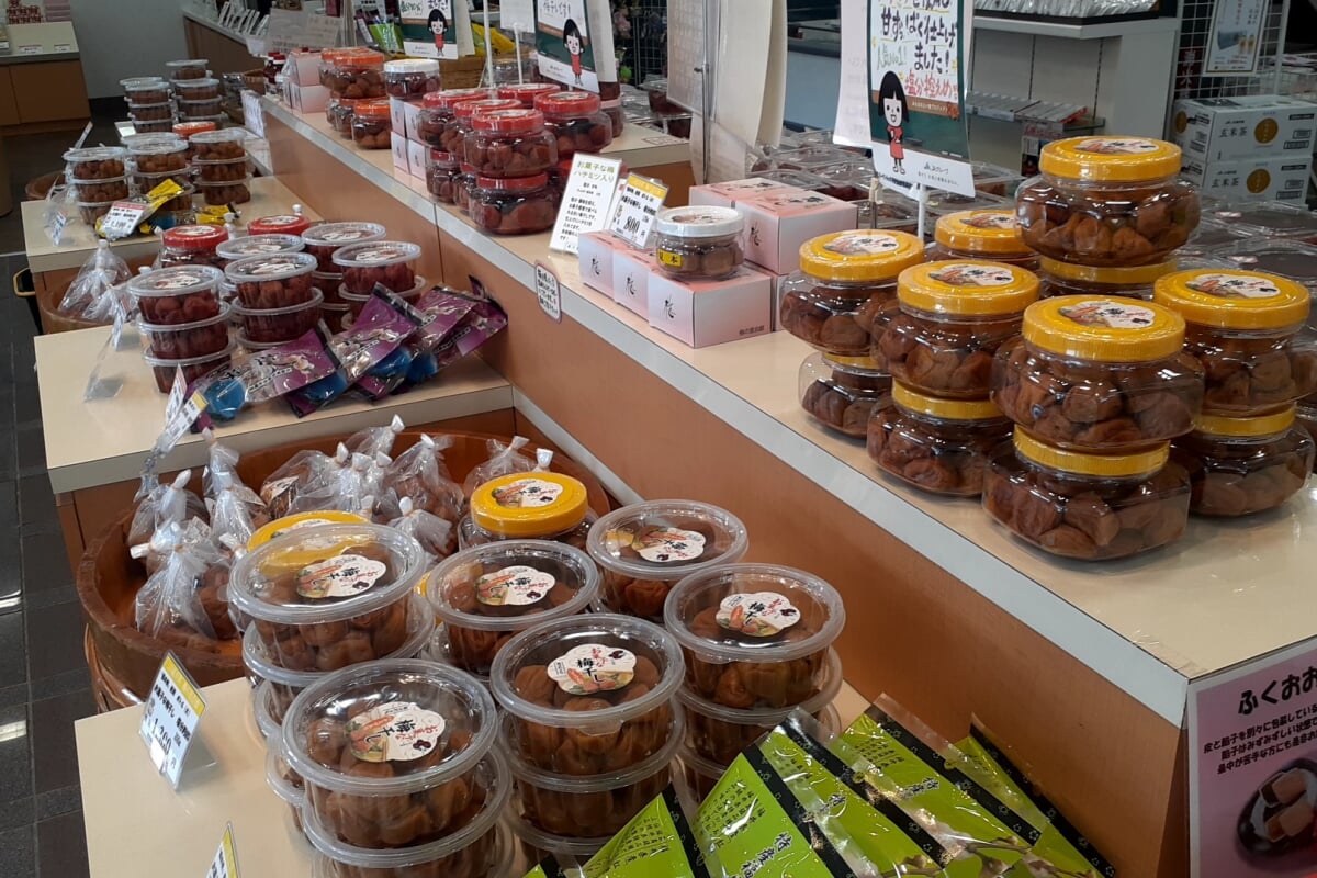 梅の里会館の写真2