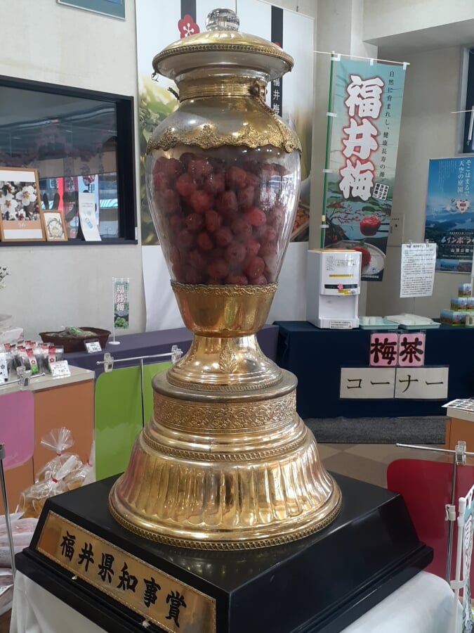 梅の里会館の写真3