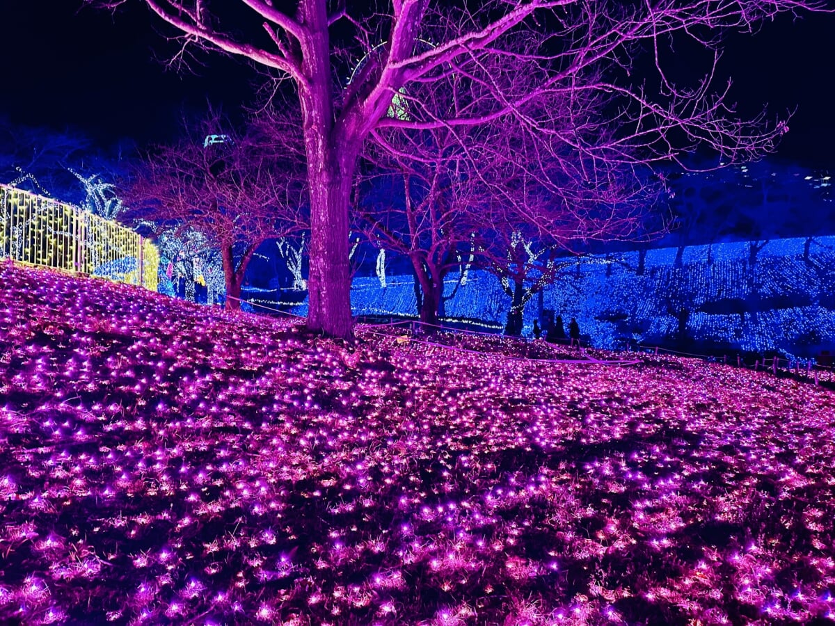 さがみ湖MORI MORI(旧:さがみ湖リゾート プレジャーフォレスト)の写真4