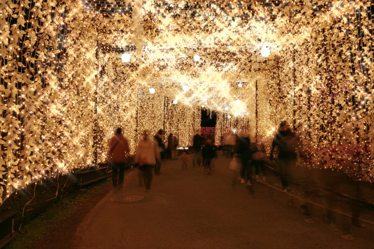 さがみ湖MORI MORI(旧:さがみ湖リゾート プレジャーフォレスト)の写真5