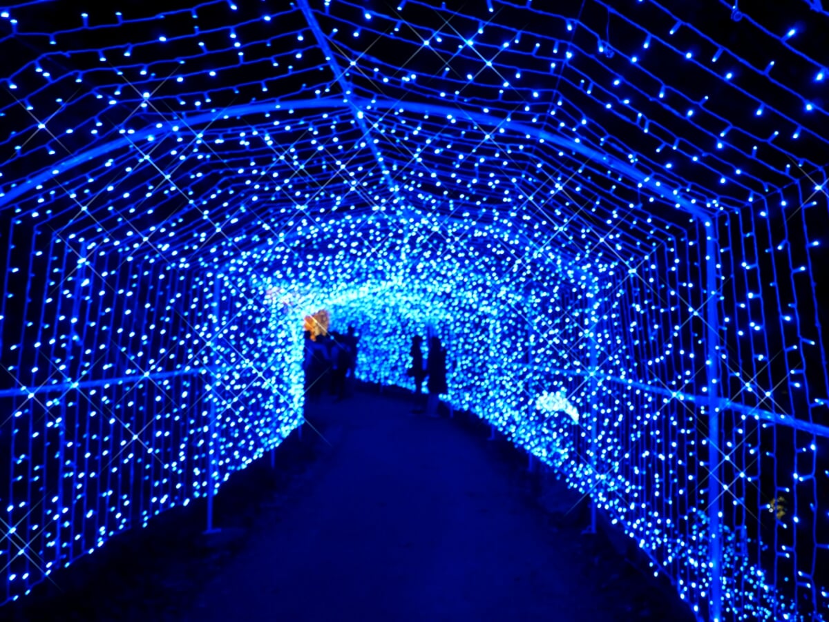 さがみ湖MORI MORI(旧:さがみ湖リゾート プレジャーフォレスト)の写真6