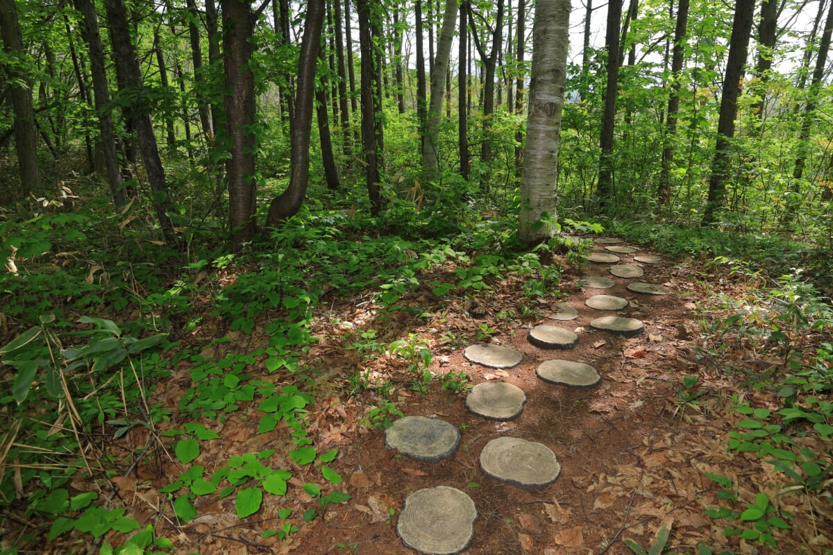 史跡 西崎山環状列石の写真2