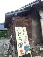 こんのぶどう園