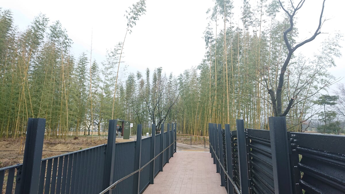 体感!しだみ古墳群ミュージアム SHIDAMUの写真4