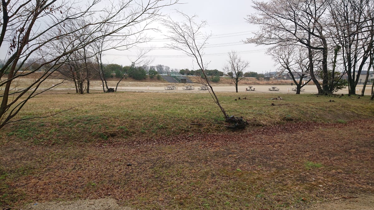 体感!しだみ古墳群ミュージアム SHIDAMUの写真7