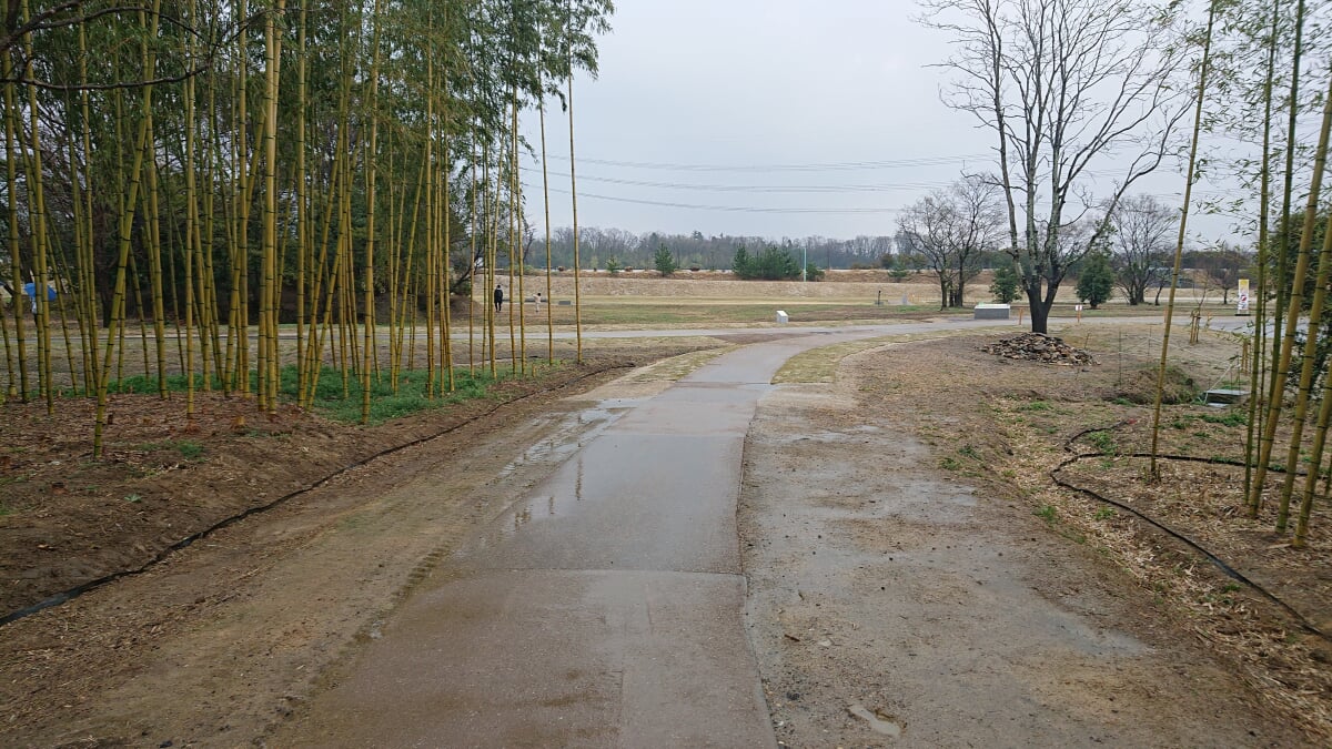 体感!しだみ古墳群ミュージアム SHIDAMUの写真8