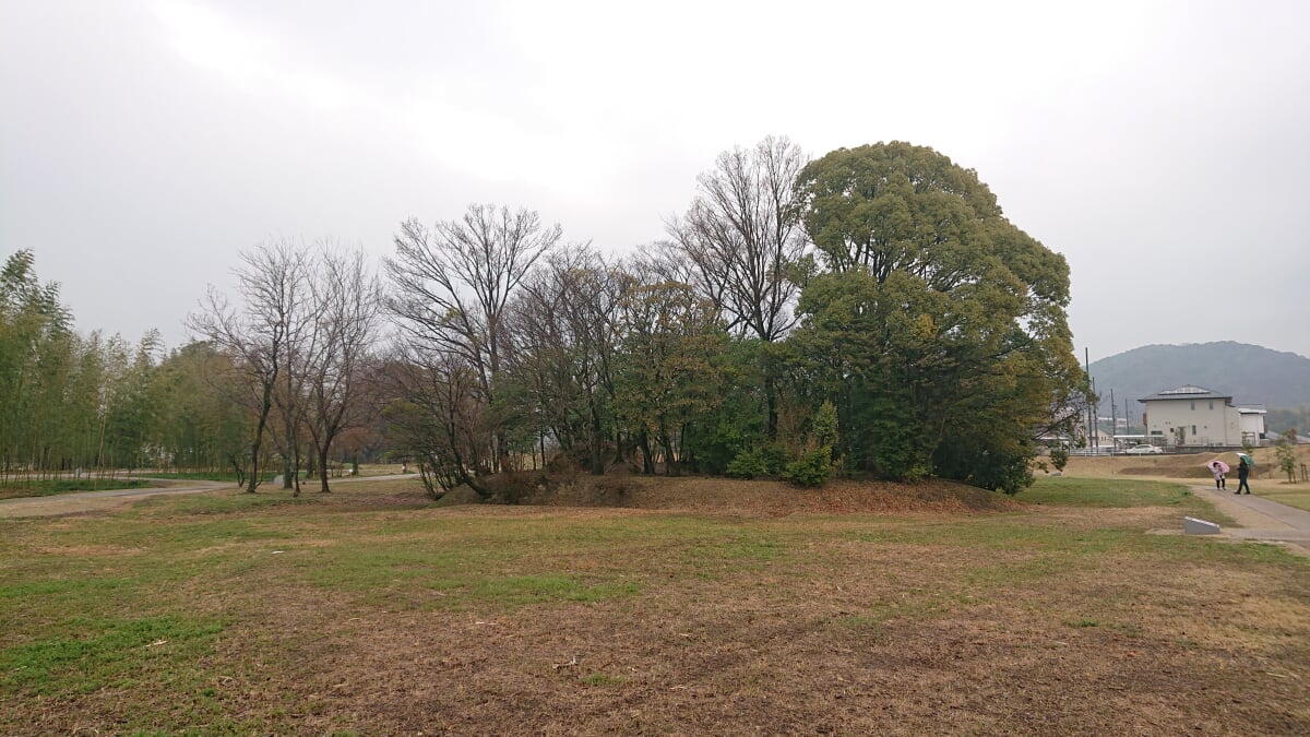 体感!しだみ古墳群ミュージアム SHIDAMUの写真11