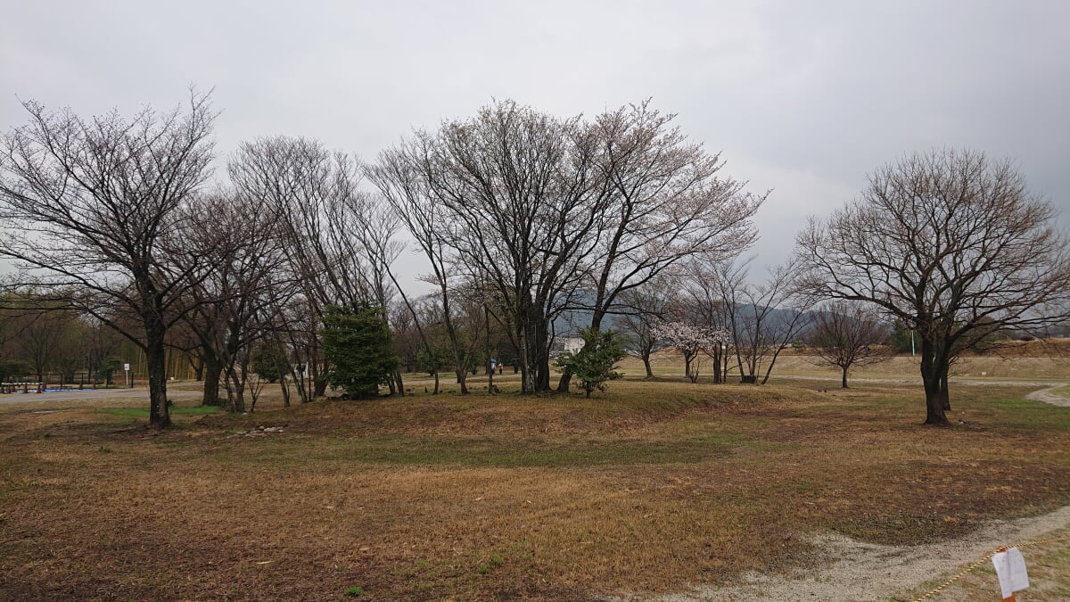 体感!しだみ古墳群ミュージアム SHIDAMUの写真12