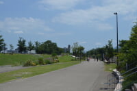 草津川跡地公園 de愛ひろば