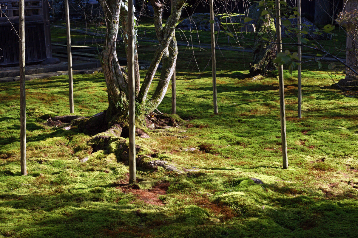 瀧谷寺の写真12