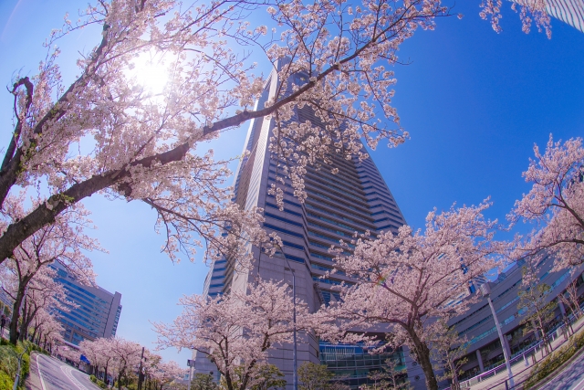 横浜ランドマークタワーの写真2