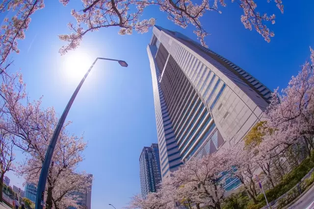 横浜ランドマークタワーの写真1