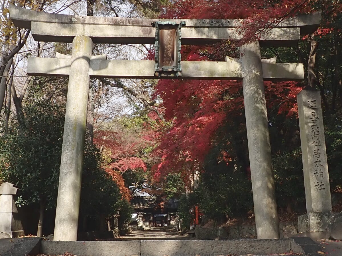 伊居太神社の写真1