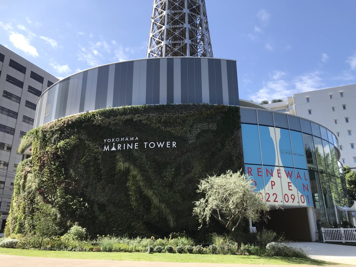 横浜マリンタワーの写真5