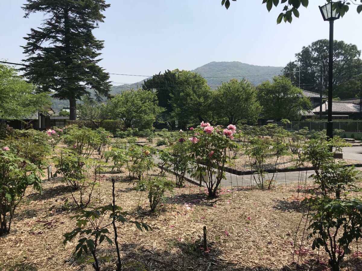 岩国徴古館の写真5