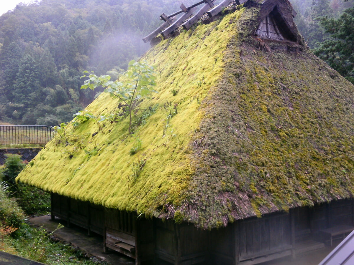 石田家住宅の写真1