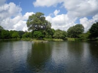 那珂川河畔公園