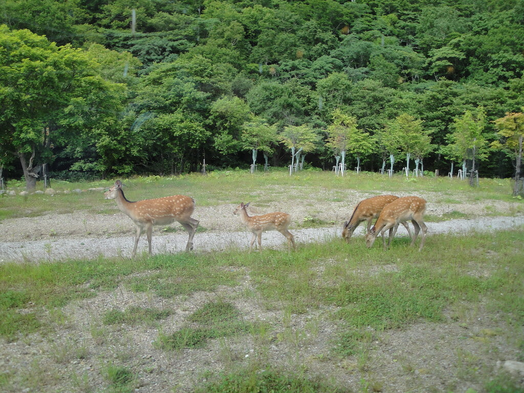 羅臼ビジターセンターの写真8