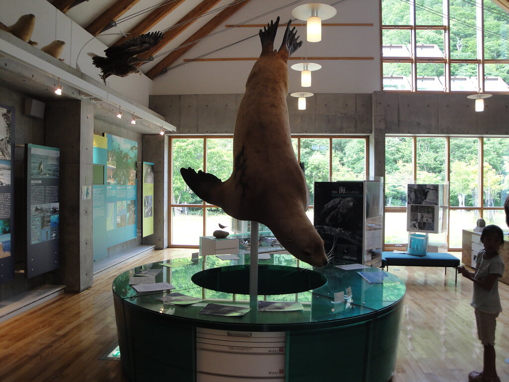 羅臼ビジターセンターの写真11