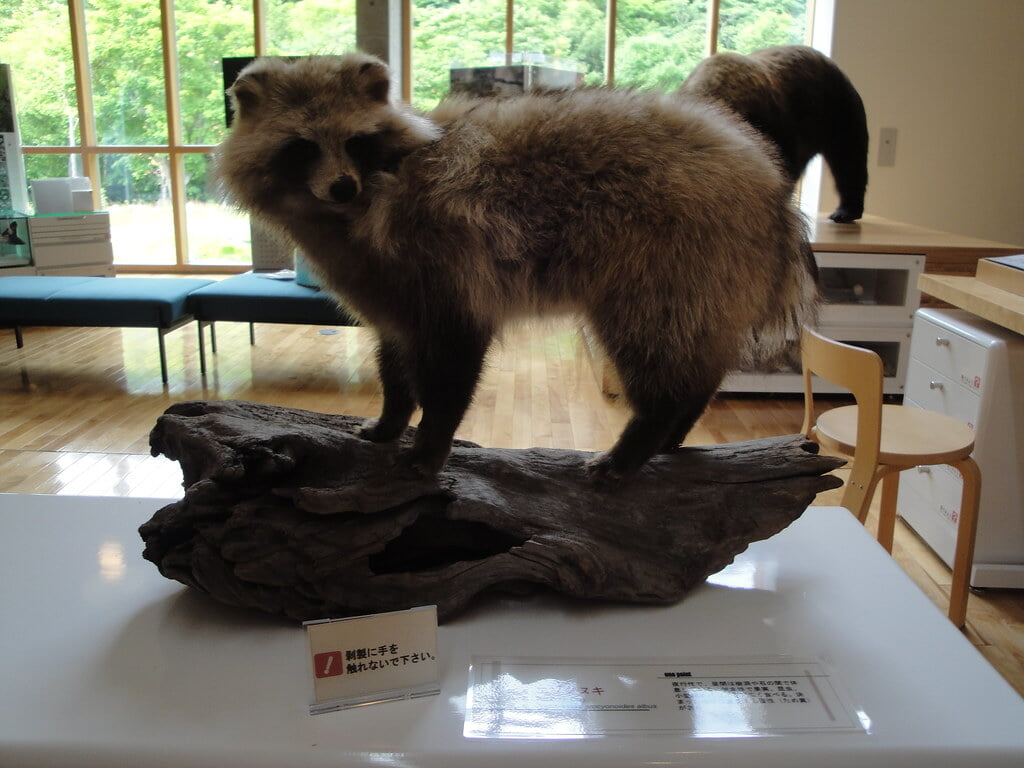 羅臼ビジターセンターの写真12