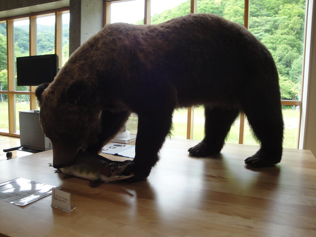 羅臼ビジターセンターの写真15