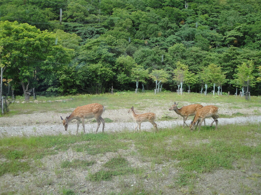 羅臼ビジターセンターの写真16