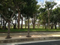 21世紀の森公園