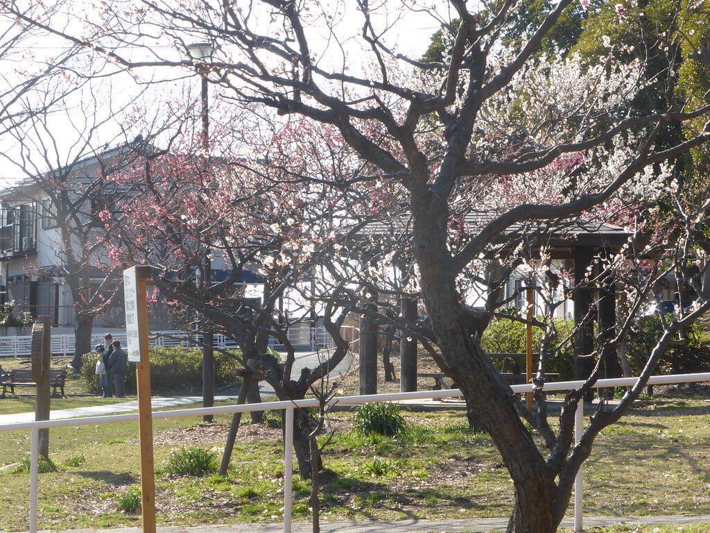 洋光台第三公園の写真1
