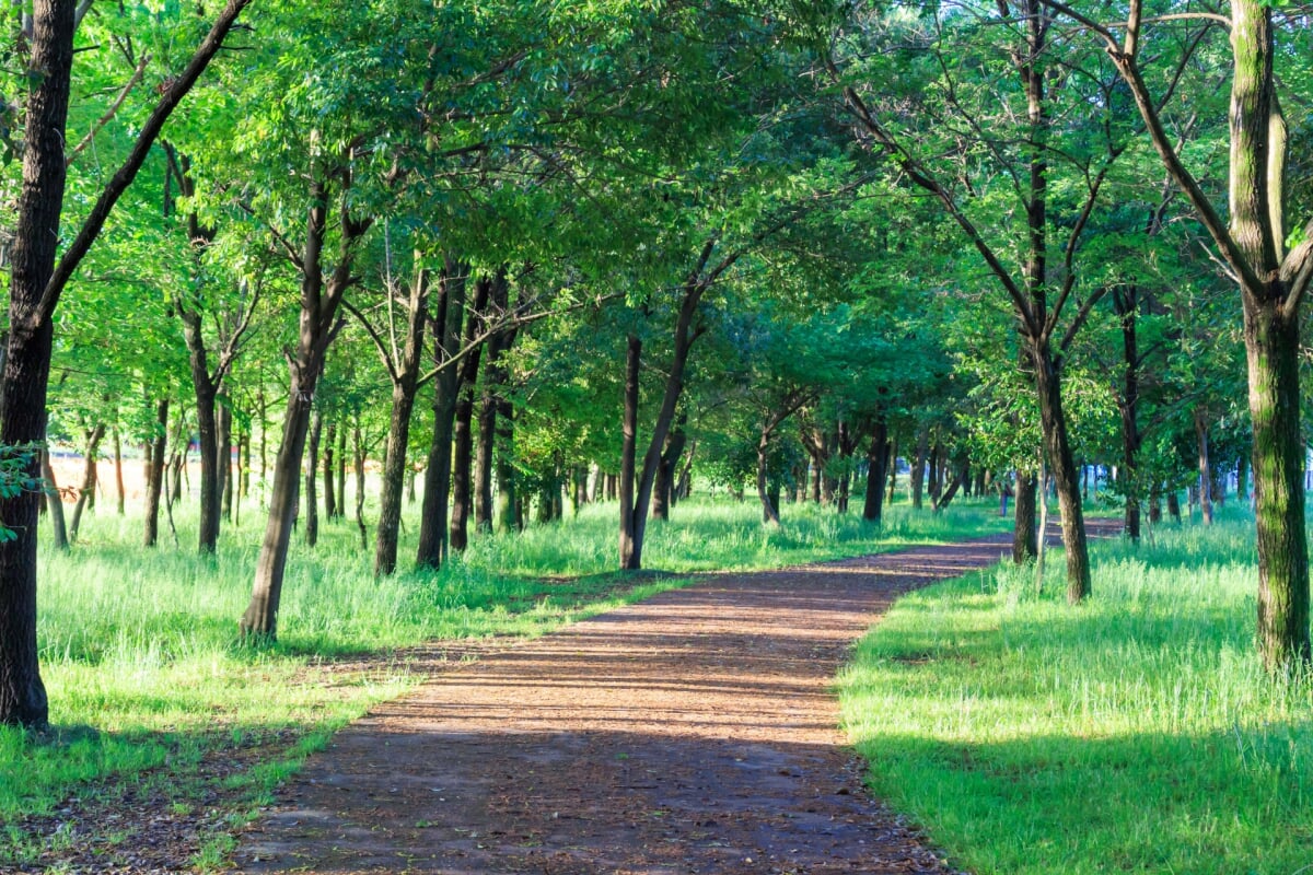 びん沼自然公園の写真2