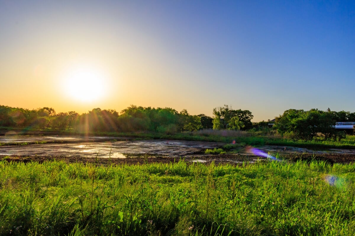びん沼自然公園の写真4