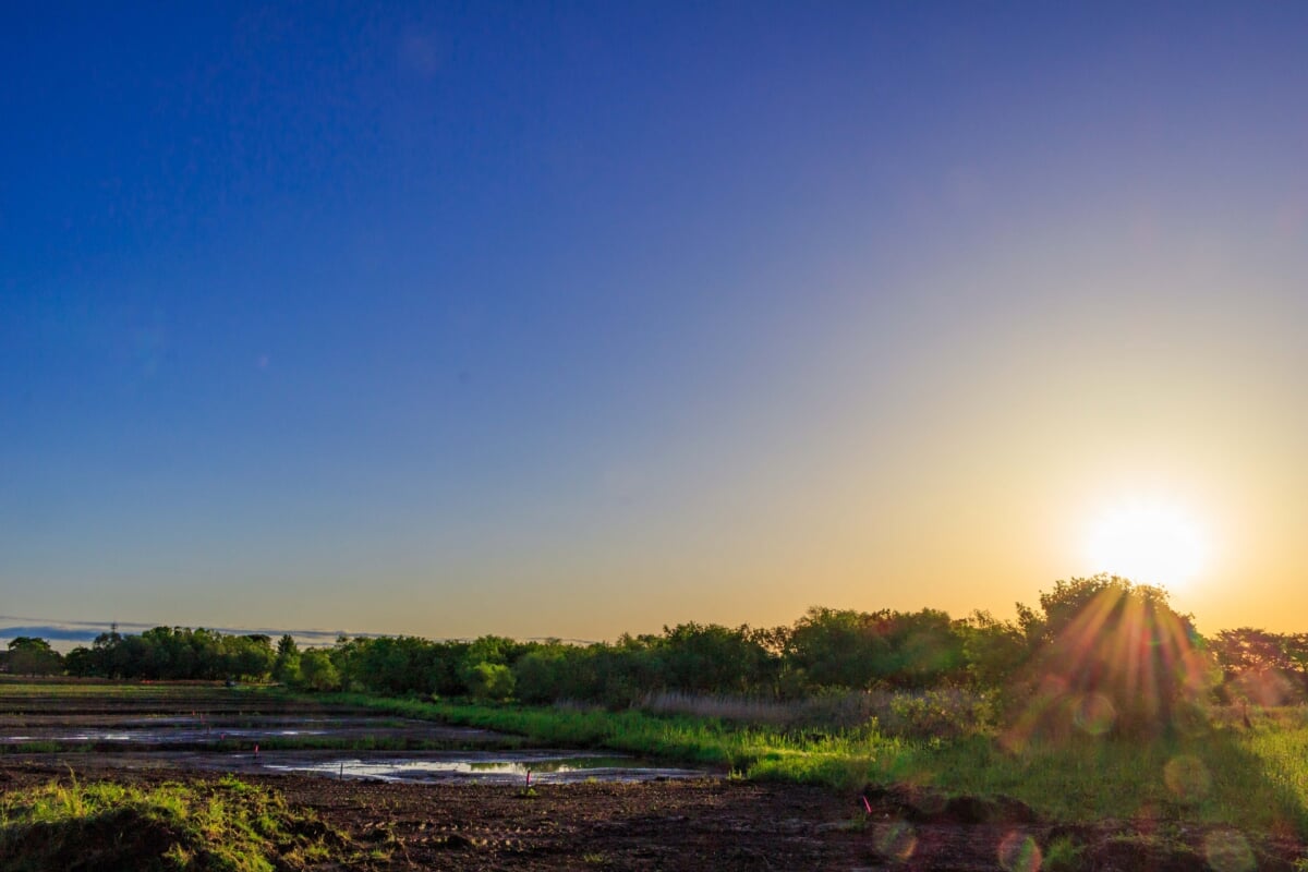 びん沼自然公園の写真6