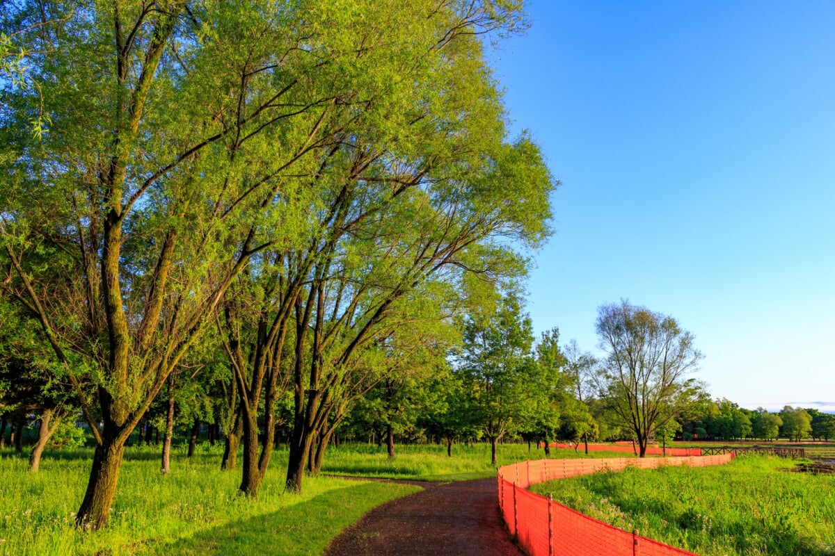 びん沼自然公園の写真8
