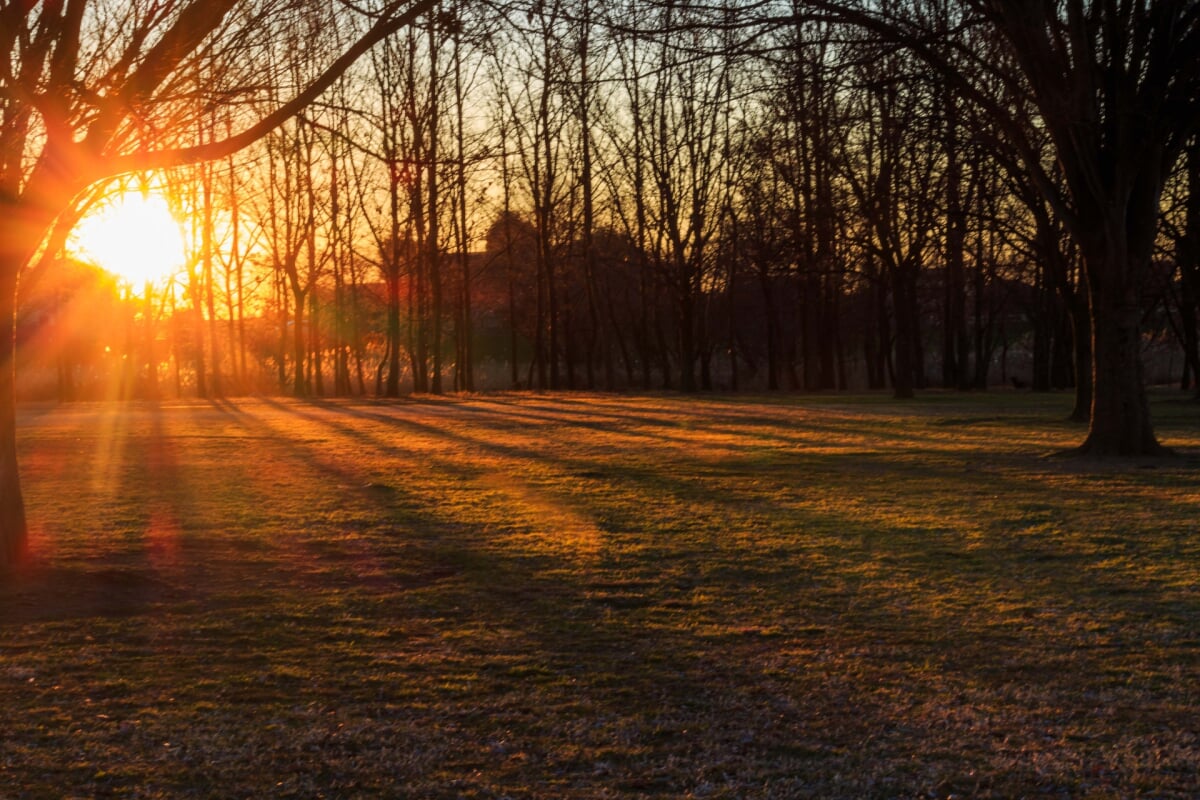 びん沼自然公園の写真9